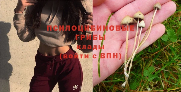 герыч Баксан