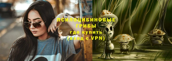 крисы Балахна