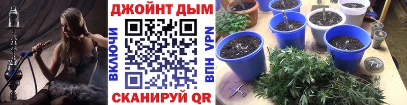 Каннабис MAZAR  купить наркоту  Костерёво 